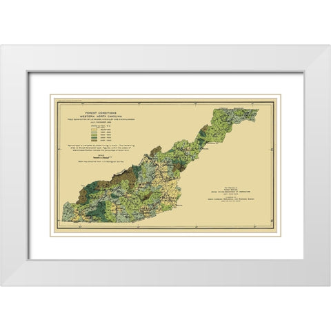 Western North Carolina Forest Conditions 1909 White Modern Wood Framed Art Print with Double Matting by USFS