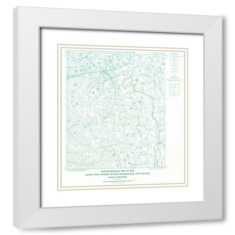 Eagle Nest Quad Plant New Mexico Mines - Clark White Modern Wood Framed Art Print with Double Matting by Clark
