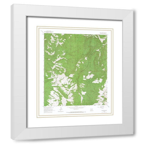 Salize Pass New Mexico Quad - USGS 1963 White Modern Wood Framed Art Print with Double Matting by USGS