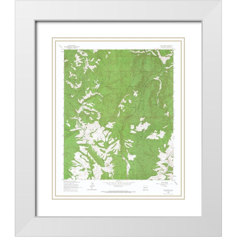 Salize Pass New Mexico Quad - USGS 1963 White Modern Wood Framed Art Print with Double Matting by USGS