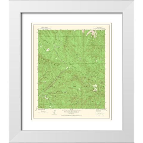 Twin Sisters New Mexico Quad - USGS 1947 White Modern Wood Framed Art Print with Double Matting by USGS