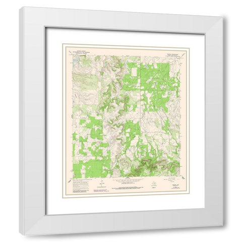 Admiral Texas Quad - USGS 1966 White Modern Wood Framed Art Print with Double Matting by USGS