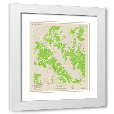 Bailey Draw Texas Quad - USGS 1964 White Modern Wood Framed Art Print with Double Matting by USGS