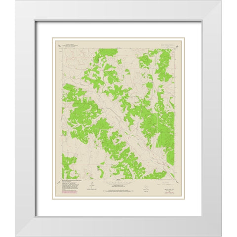 Bailey Draw Texas Quad - USGS 1964 White Modern Wood Framed Art Print with Double Matting by USGS