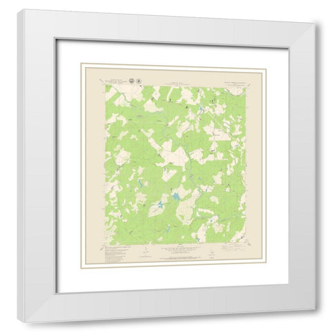 Blanket Springs Texas Quad - USGS 1979 White Modern Wood Framed Art Print with Double Matting by USGS