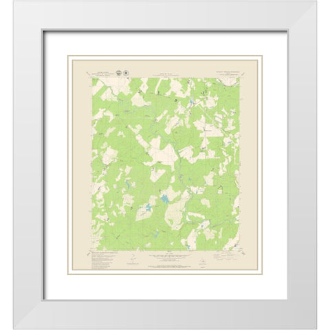 Blanket Springs Texas Quad - USGS 1979 White Modern Wood Framed Art Print with Double Matting by USGS