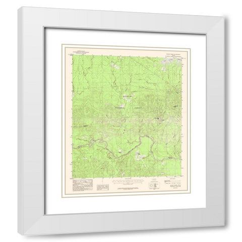 Boykin Spring Texas Quad - USGS 1984 White Modern Wood Framed Art Print with Double Matting by USGS