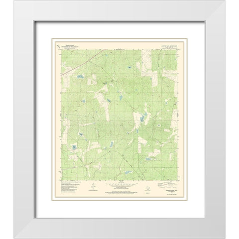 Burrito Tank Texas Quad - USGS 1980 White Modern Wood Framed Art Print with Double Matting by USGS