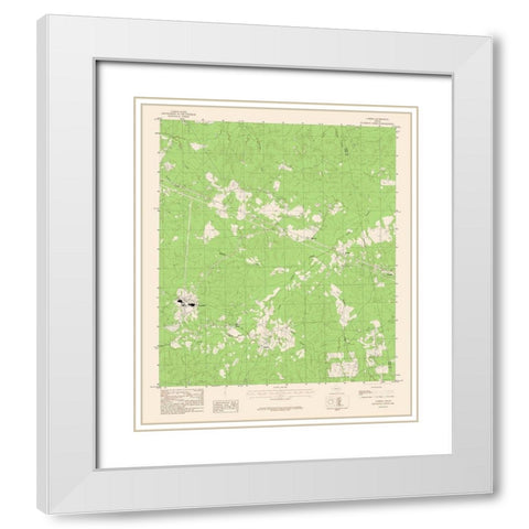 Camden Texas Quad - USGS 1979 White Modern Wood Framed Art Print with Double Matting by USGS