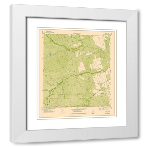 Cometa Texas Quad - USGS 1974 White Modern Wood Framed Art Print with Double Matting by USGS