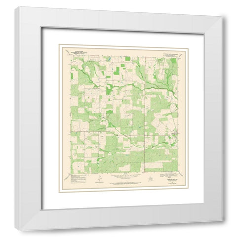 Christine West Texas Quad - USGS 1968 White Modern Wood Framed Art Print with Double Matting by USGS