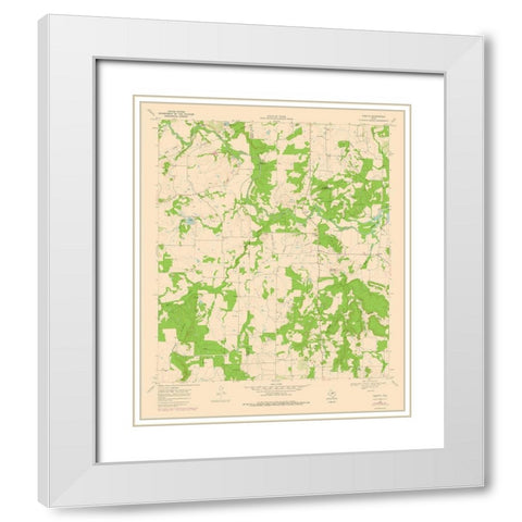 Thrifty Texas Quad - USGS 1969 White Modern Wood Framed Art Print with Double Matting by USGS