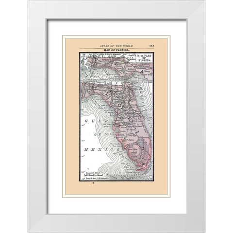 Florida - Alden 1886 White Modern Wood Framed Art Print with Double Matting by Alden