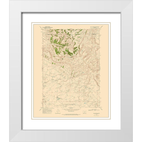 Salt Canyon Wyoming Quad - USGS 1968 White Modern Wood Framed Art Print with Double Matting by USGS