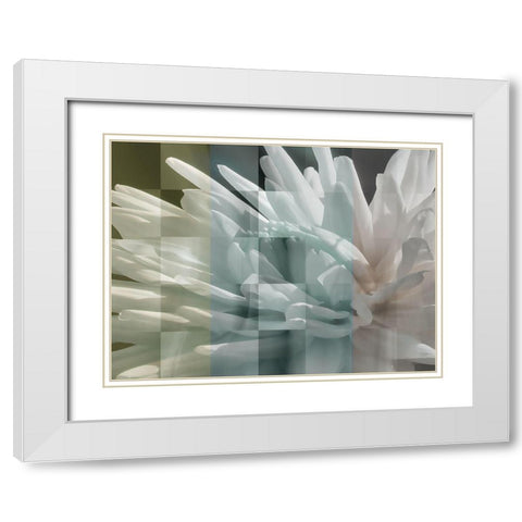 Checkered Dhalia Pastels White Modern Wood Framed Art Print with Double Matting by Bartola