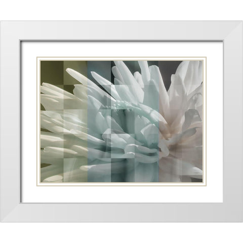 Checkered Dhalia Pastels White Modern Wood Framed Art Print with Double Matting by Bartola