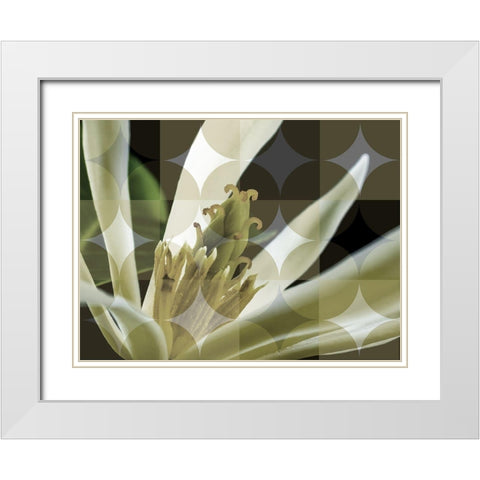Floral Design II White Modern Wood Framed Art Print with Double Matting by Bartola