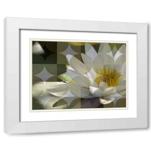 Floral Design VI White Modern Wood Framed Art Print with Double Matting by Bartola