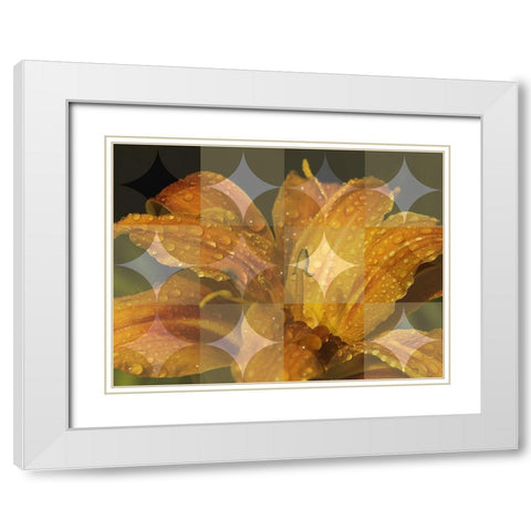 Floral Design VII White Modern Wood Framed Art Print with Double Matting by Bartola