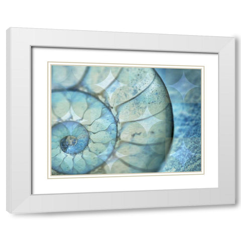 La Concha Marsala White Modern Wood Framed Art Print with Double Matting by Bartola