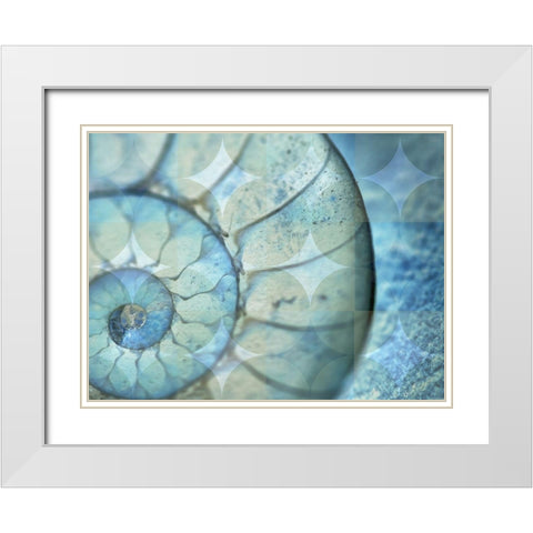 La Concha Marsala White Modern Wood Framed Art Print with Double Matting by Bartola