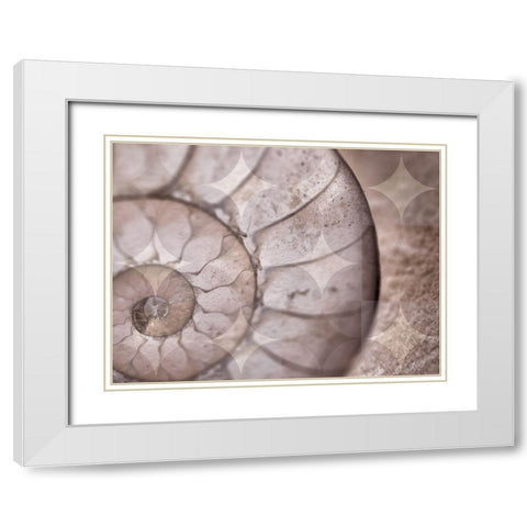 La Concha I White Modern Wood Framed Art Print with Double Matting by Bartola
