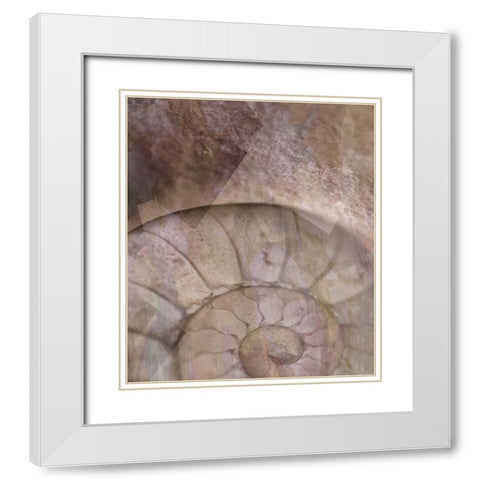 La Concha II Marsala White Modern Wood Framed Art Print with Double Matting by Bartola