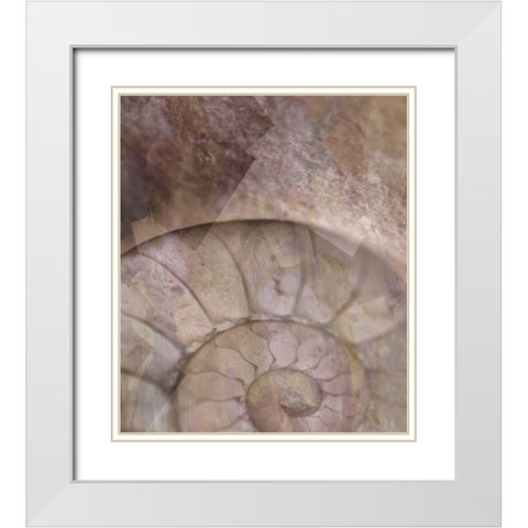La Concha II Marsala White Modern Wood Framed Art Print with Double Matting by Bartola