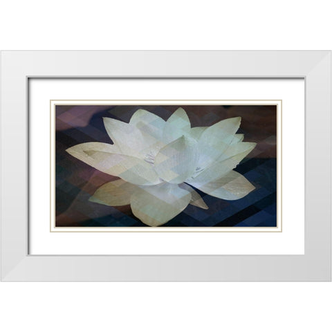 Lotus Designs White Modern Wood Framed Art Print with Double Matting by Bartola