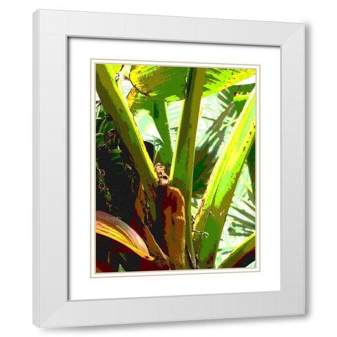 Banana II White Modern Wood Framed Art Print with Double Matting by Franklin