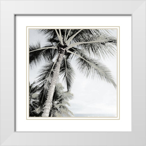 Neutral Palm II White Modern Wood Framed Art Print with Double Matting by Franklin
