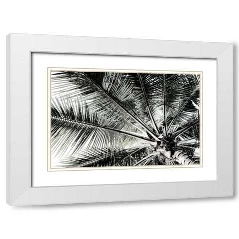 Neutral Palm III White Modern Wood Framed Art Print with Double Matting by Franklin