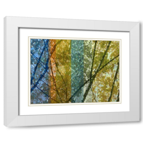 Rainbow Canopy White Modern Wood Framed Art Print with Double Matting by Franklin