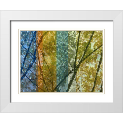 Rainbow Canopy White Modern Wood Framed Art Print with Double Matting by Franklin