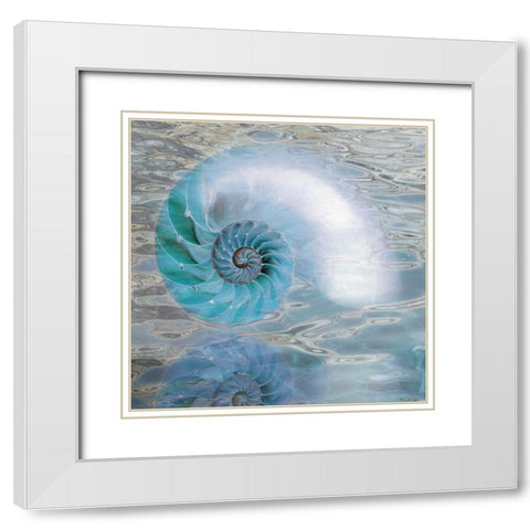 Nautilus Reflection II White Modern Wood Framed Art Print with Double Matting by Franklin