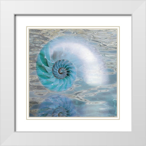 Nautilus Reflection II White Modern Wood Framed Art Print with Double Matting by Franklin