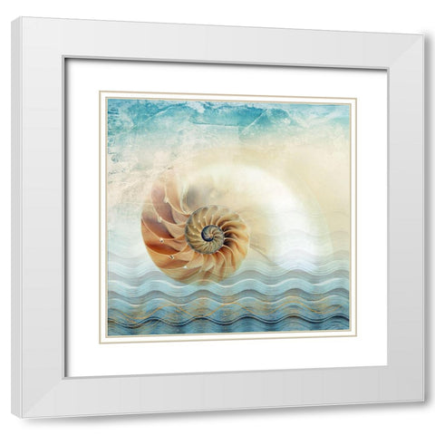 Nautilus White Modern Wood Framed Art Print with Double Matting by Franklin