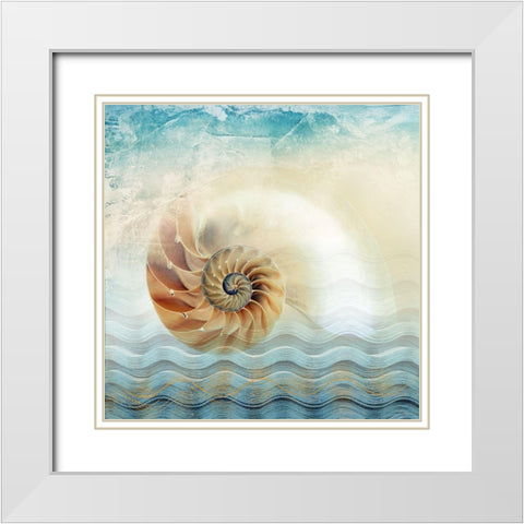 Nautilus White Modern Wood Framed Art Print with Double Matting by Franklin