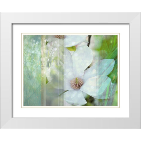 Magnolia Mist White Modern Wood Framed Art Print with Double Matting by Franklin