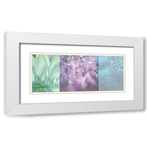 Morning Mist Plum White Modern Wood Framed Art Print with Double Matting by Franklin