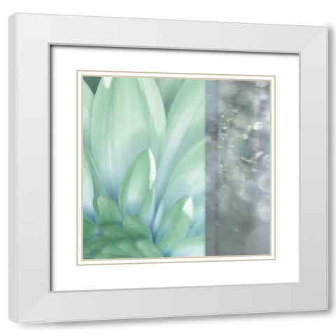 Morning Mist Square White Modern Wood Framed Art Print with Double Matting by Franklin