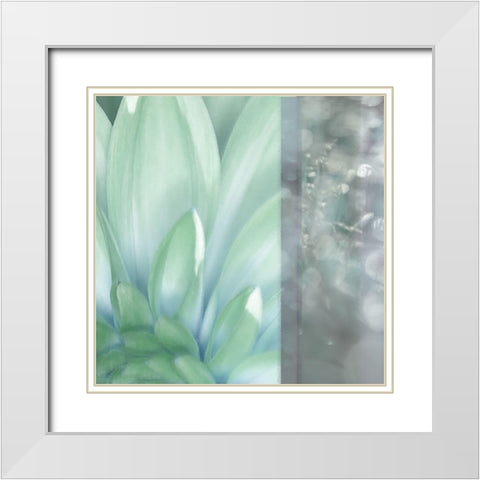 Morning Mist Square White Modern Wood Framed Art Print with Double Matting by Franklin