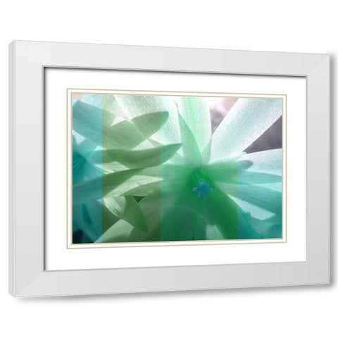 Floral Shadow White Modern Wood Framed Art Print with Double Matting by Franklin
