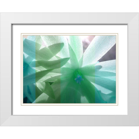 Floral Shadow White Modern Wood Framed Art Print with Double Matting by Franklin