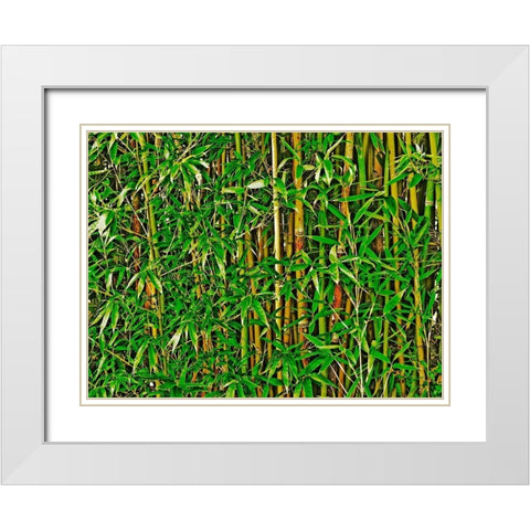 Bamboo in HD II White Modern Wood Framed Art Print with Double Matting by Simons