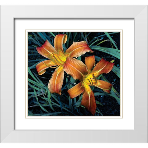 Celebration White Modern Wood Framed Art Print with Double Matting by Simons