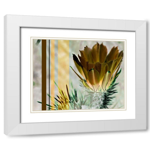 Desert Flower White Modern Wood Framed Art Print with Double Matting by Simons