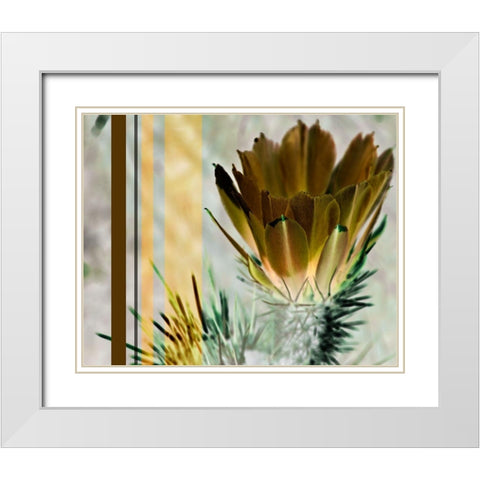 Desert Flower White Modern Wood Framed Art Print with Double Matting by Simons