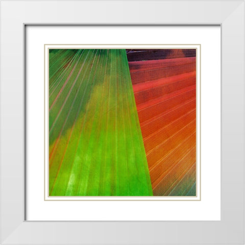 Fondly II White Modern Wood Framed Art Print with Double Matting by Simons