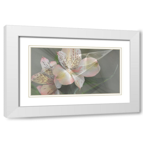 Illusion in Pink White Modern Wood Framed Art Print with Double Matting by Simons